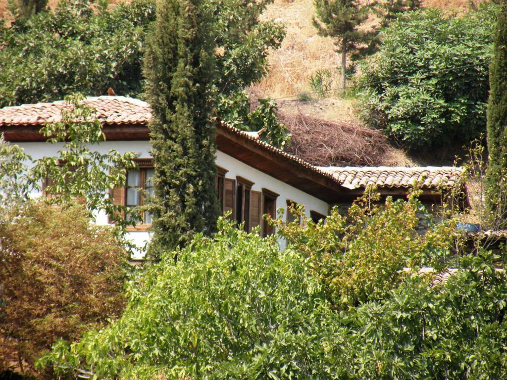 Terrace Houses Sirince Selçuk Pokój zdjęcie