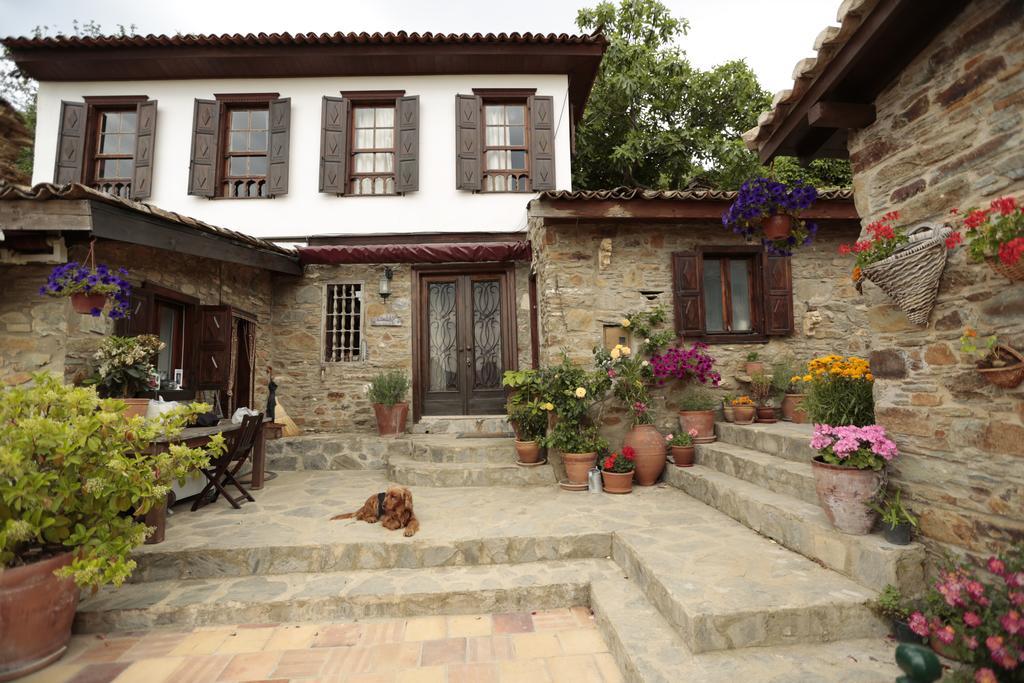 Terrace Houses Sirince Selçuk Zewnętrze zdjęcie